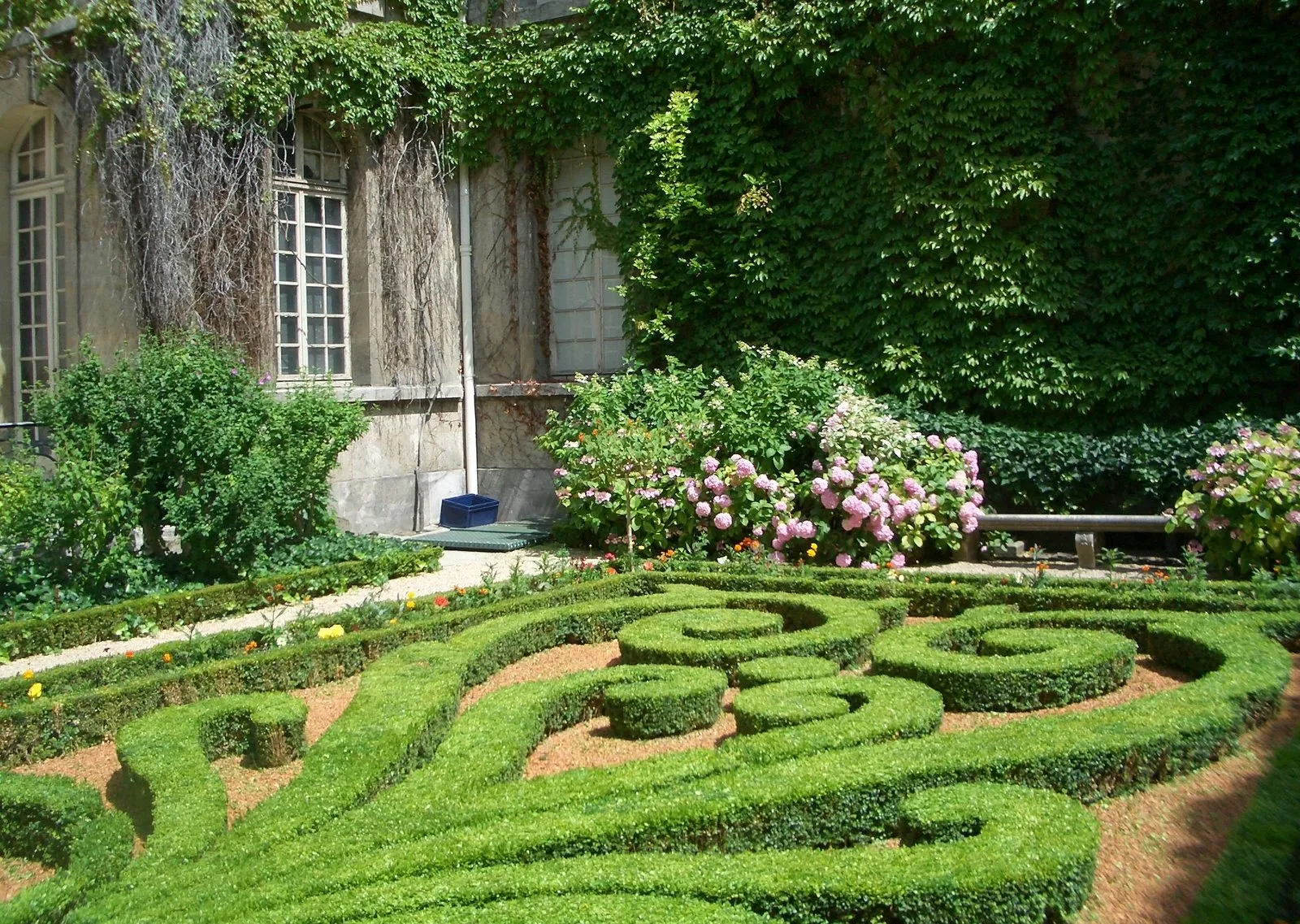 Le jardin à la française du musée Carnavalet et ses broderies de buis