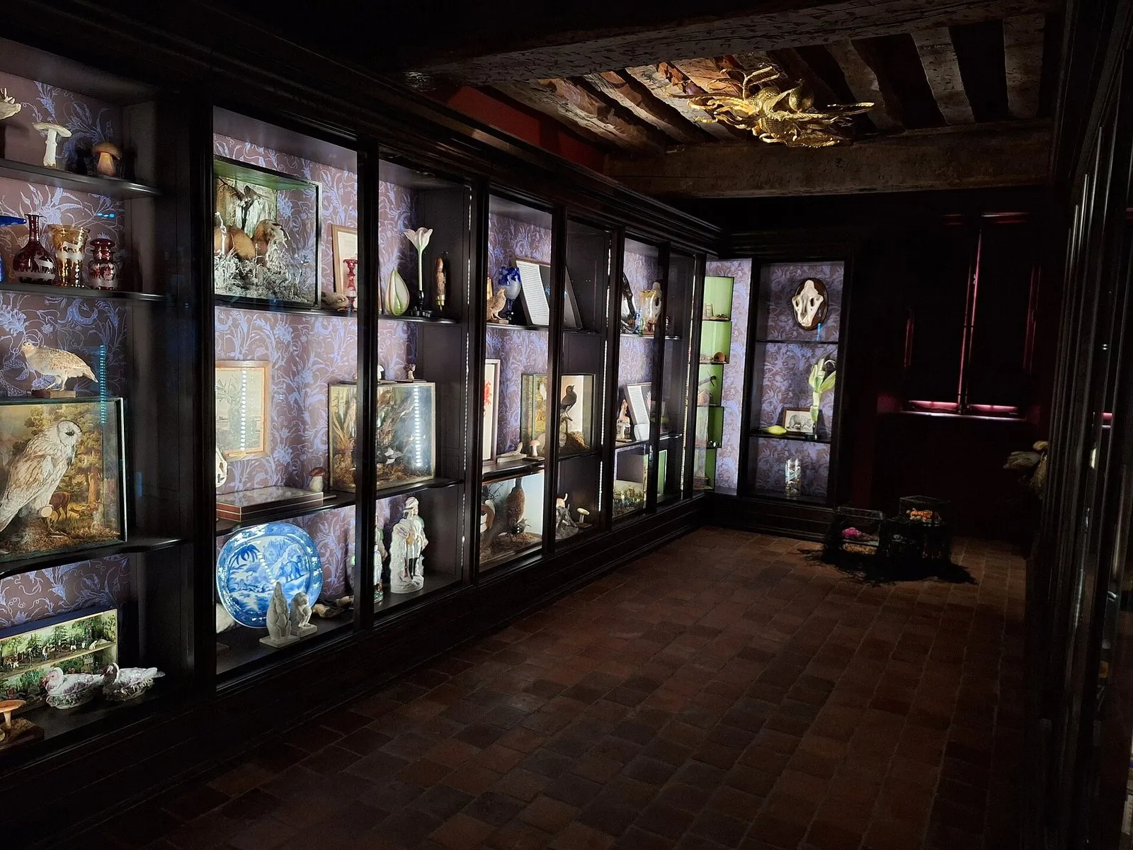 Un cabinet de curiosités du musée de la Chasse et de la Nature